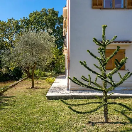 Blue Horizon أوباتيا